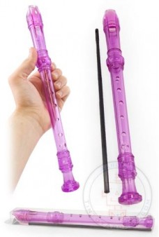 Purple Recorder Clear Musical Flute