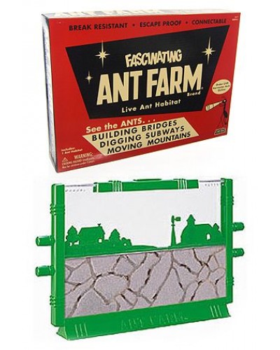 Vintage Ant Farm Retro Science 1956 