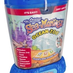 TTA1127-Sea-Monkeys-New-Blue-01