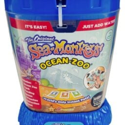 TTA1127-Sea-Monkeys-New-Blue-02
