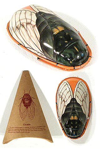 tta1679_cicada_tin_clicker__93227 tta1679_cicada_tin_clicker__93227