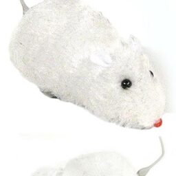 tta1180_fuzzy_white_mouse__93523 tta1180_fuzzy_white_mouse__93523