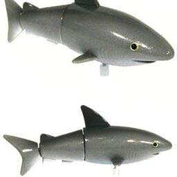 tta1837_shelley_shark_windup__62732 tta1837_shelley_shark_windup__62732