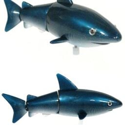 tta1839_steinbeck_shark_windup__16008