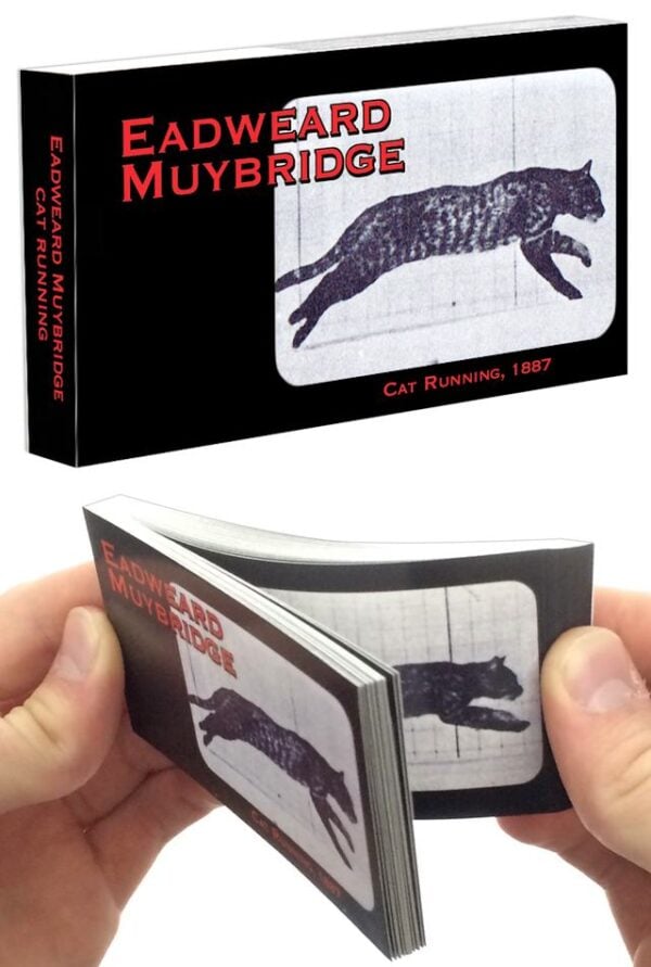 TTA4049-Cat-Running-Flipbook-01