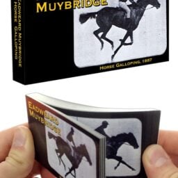 TTA4050-Horse-Running-Flipbook-01