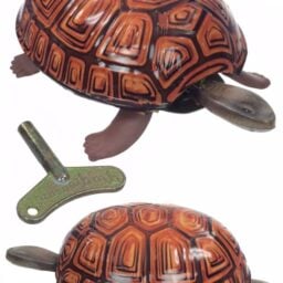 TTA4111-Tortoise-01