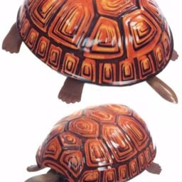TTA4111-Tortoise-02