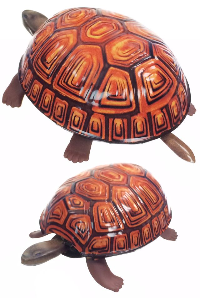 TTA4111-Tortoise-02