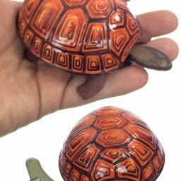 TTA4111-Tortoise-03