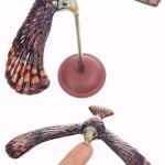 TTA4113-Eagle-01