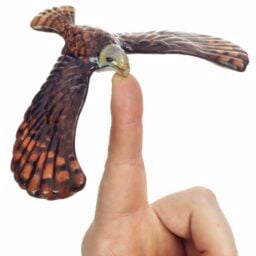 TTA4113-Eagle-03