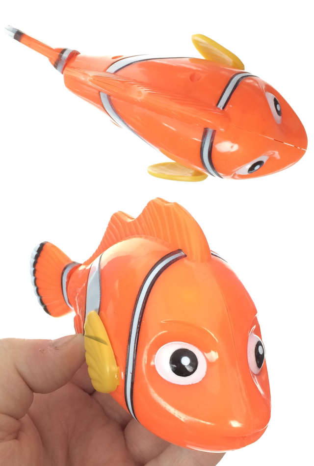 TTA5138-Swimmer-Clown-Fish-02