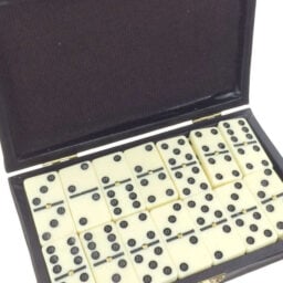 TTA5147-Dominoes-Case-Set-01