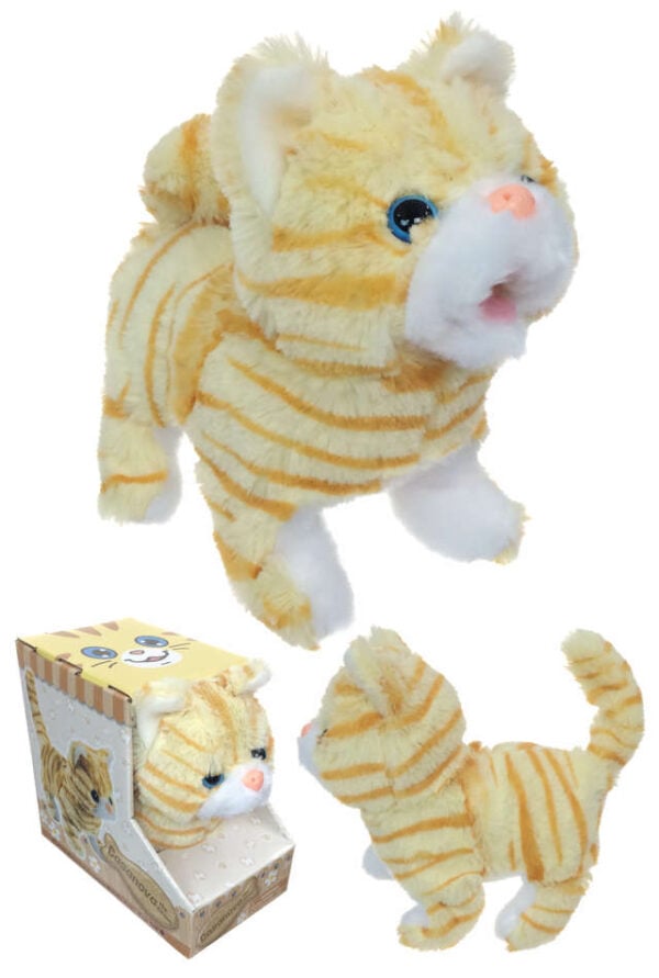 TTA5224-Casanova-Cat-01