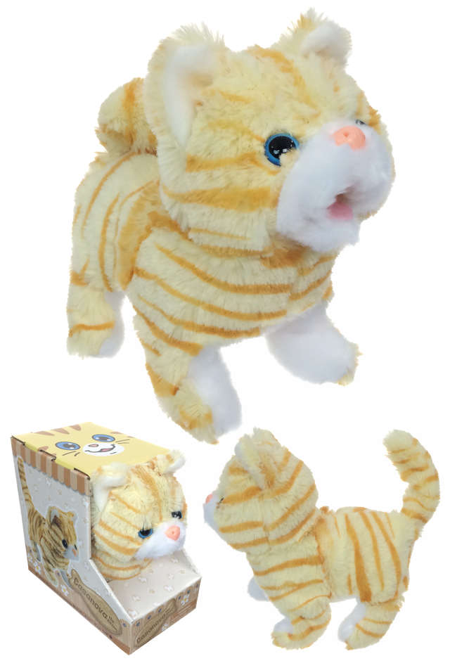 TTA5224-Casanova-Cat-01