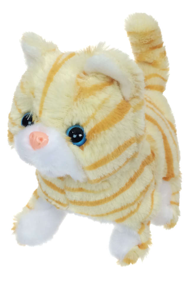 TTA5224-Casanova-Cat-02