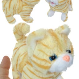 TTA5224-Casanova-Cat-03