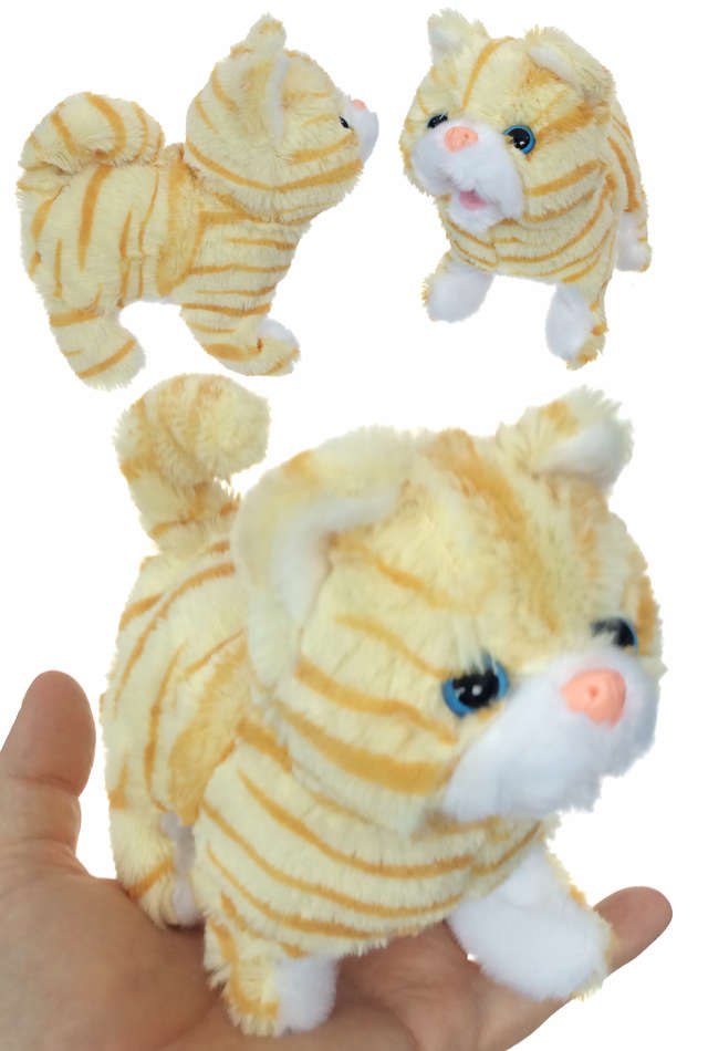 TTA5224-Casanova-Cat-03