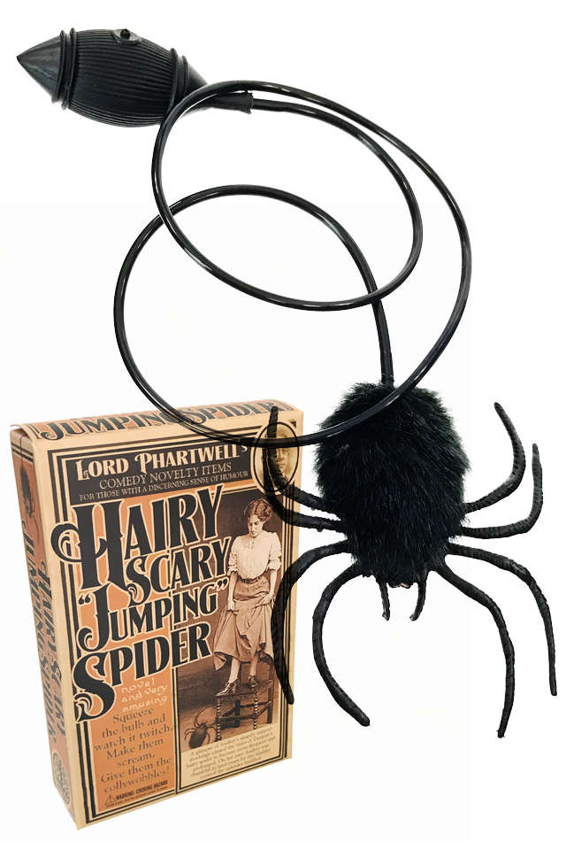 TTA5336-jumping-spider-01