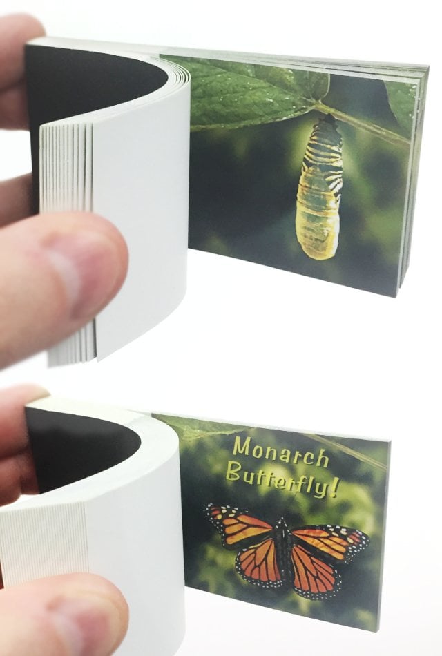 TTA5613-Butterfly-Metamorphosis-Flip-Book-03
