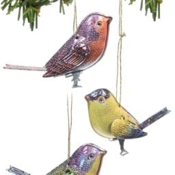 TTA5678-Canary-Bird-Ornaments-Tin-Setof3-01