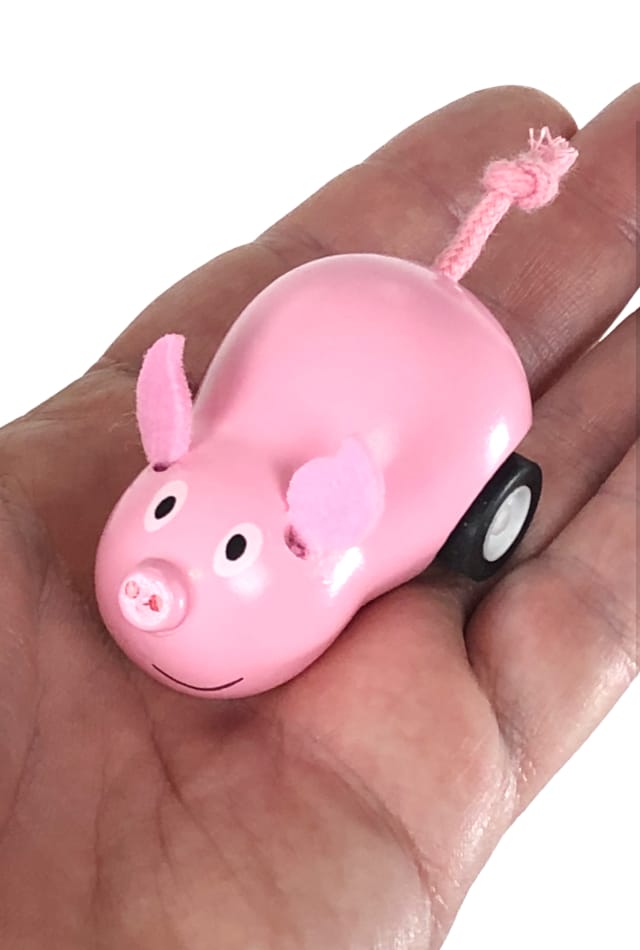 TTA5893-Wooden-Piggy-Racer-02
