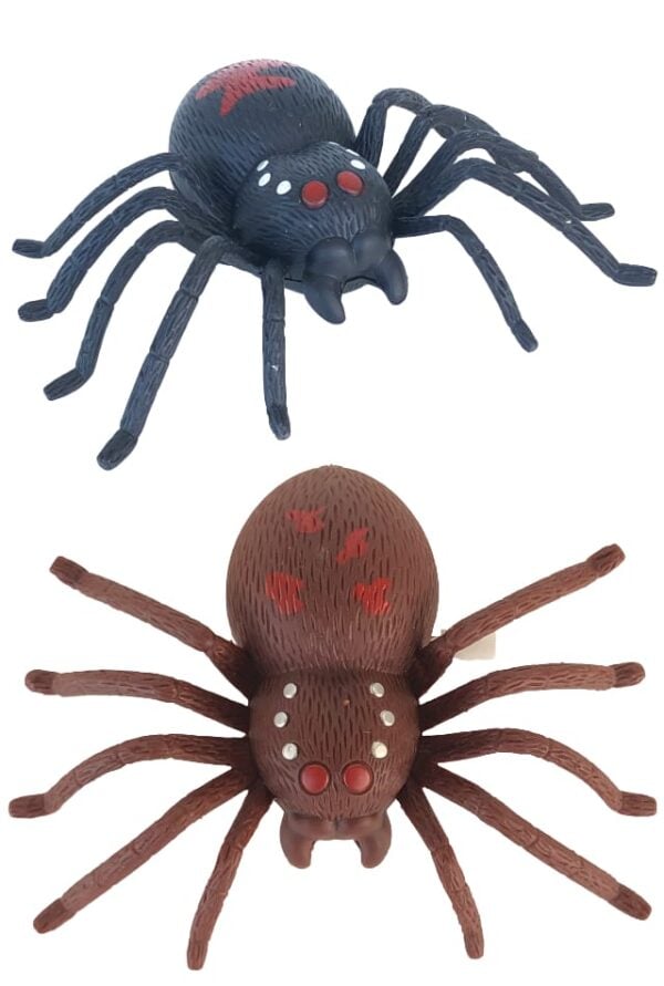 TTA5973-Big-Spider-Windup-01