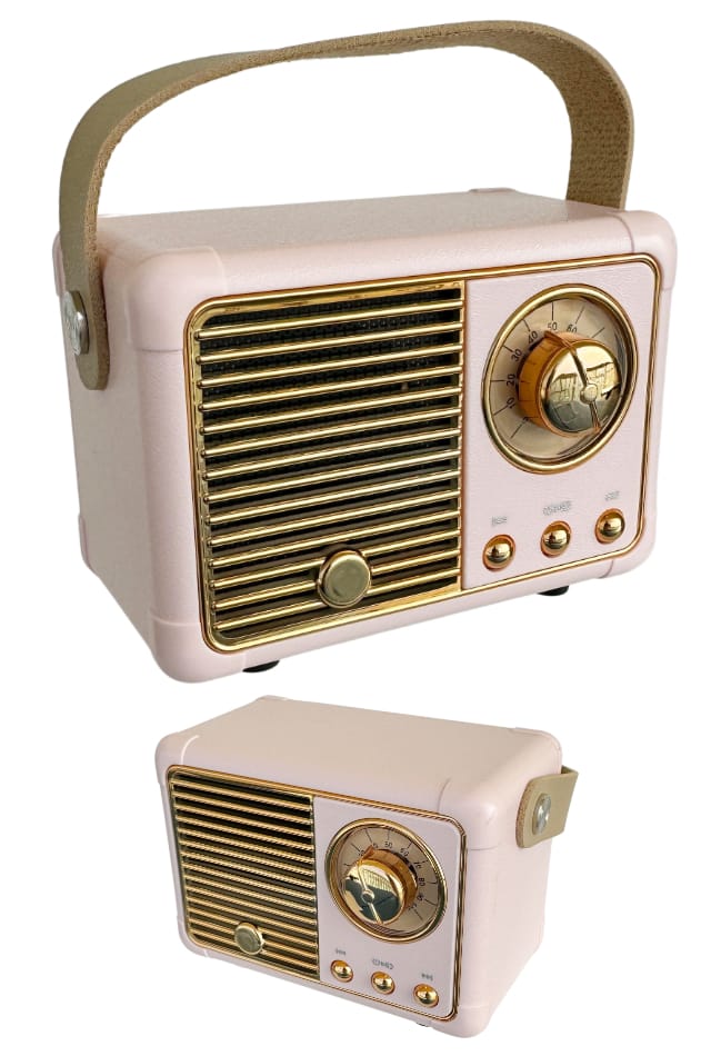 TTA6070-Pink-Speaker-01