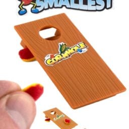 Tta6161 Cornhole Worlds Smallest 02